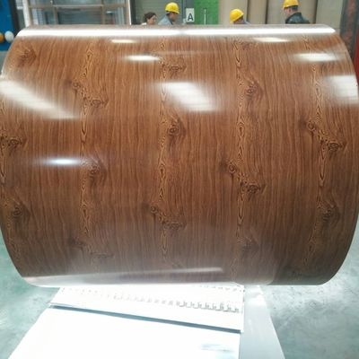 Катушки покрытые цветом S350GD цветка SGCH Prepainted гальванизированный стальной крен PPGI